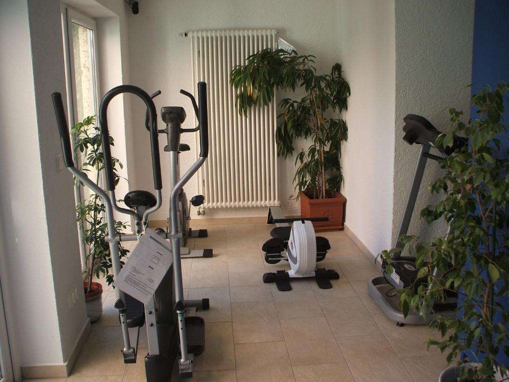 Hotel Apollo Garni Regensburg Bagian luar foto